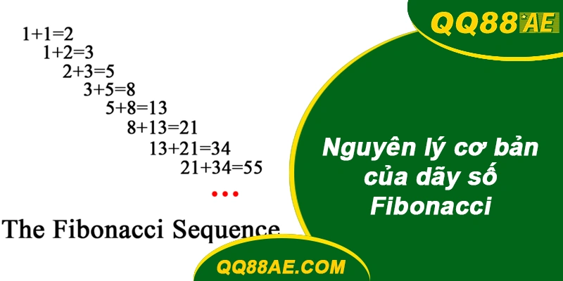 Nguyên lý cơ bản của dãy số Fibonacci